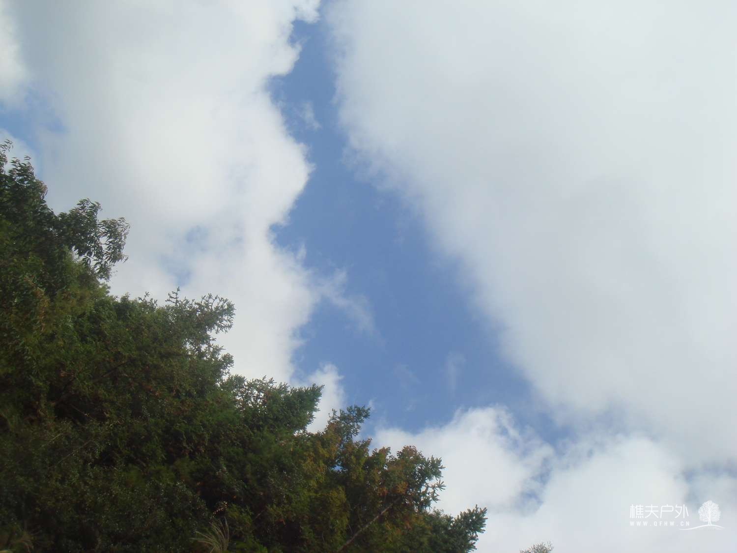 nEO_IMG_DSC06521.jpg