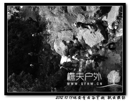 nEO_IMG_照片 191.jpg