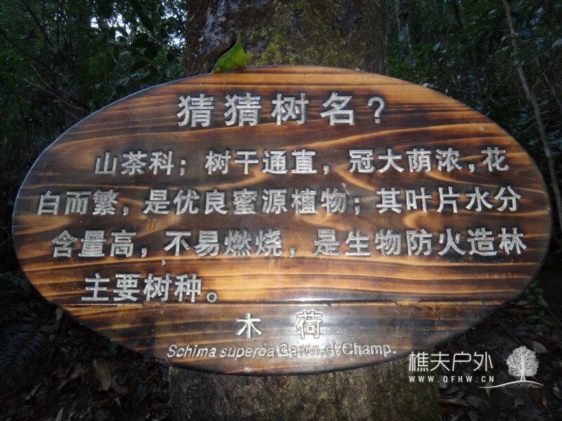 DSC06998.jpg
