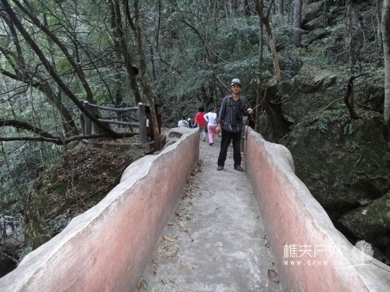 DSC07007.jpg