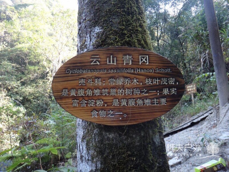 DSC07013.jpg