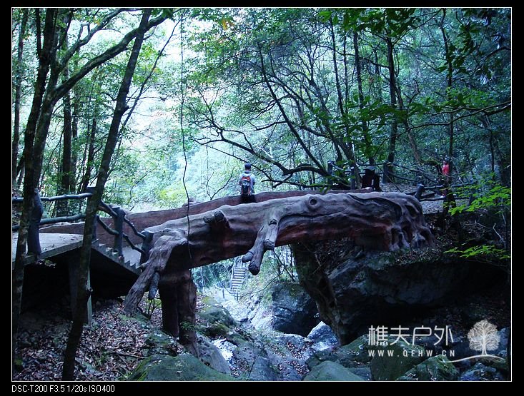 nEO_IMG_DSC06762.jpg