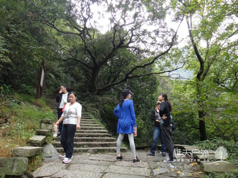 DSC07249.jpg