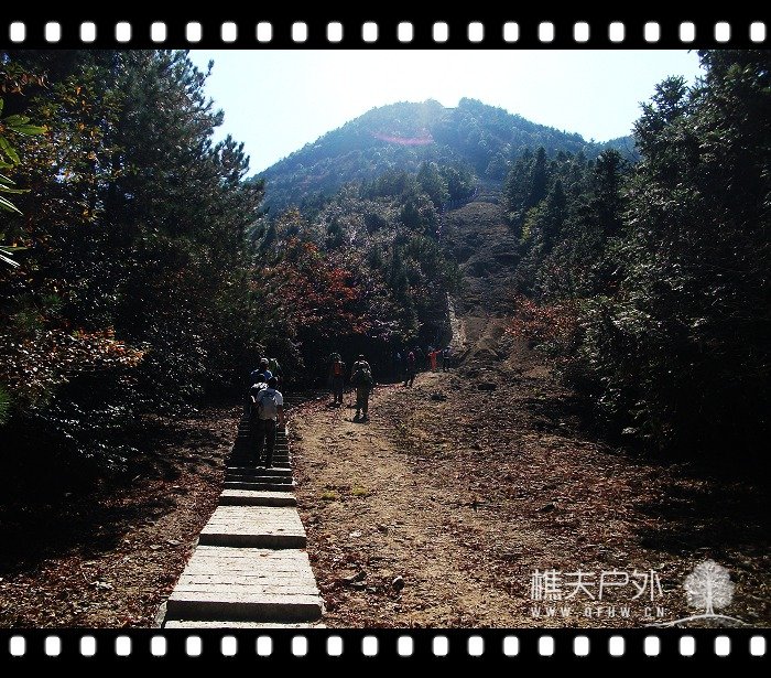 DSCF0521.jpg