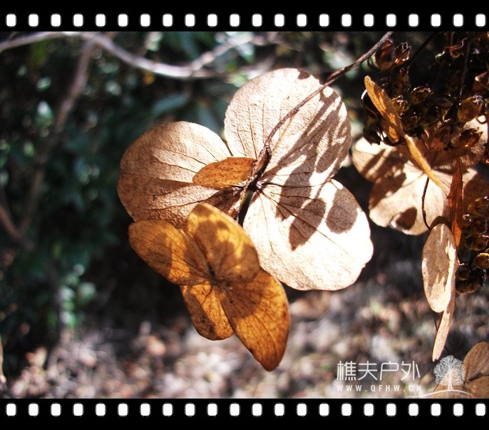 DSCF0549.jpg
