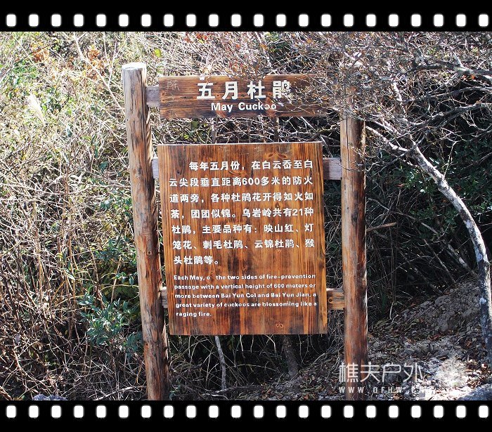 DSCF0553.jpg