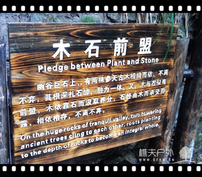 DSCF0675.jpg
