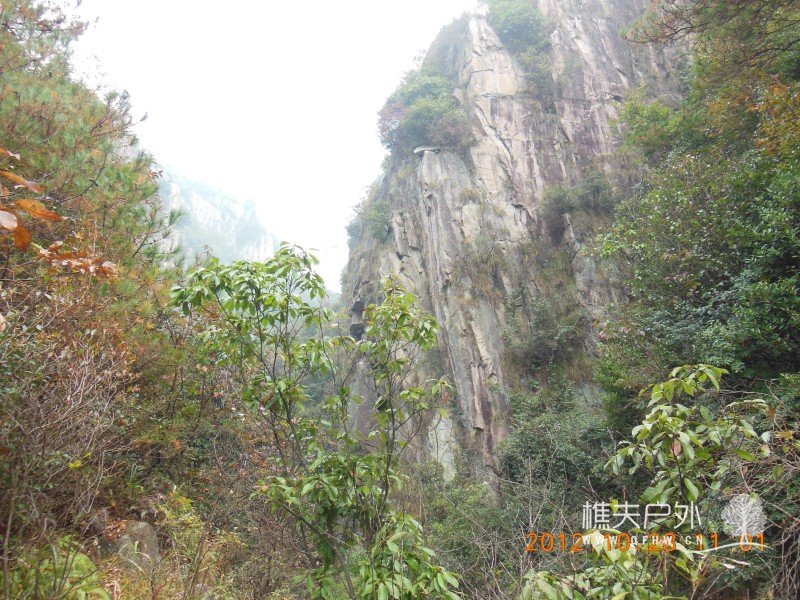 DSCN4936.jpg