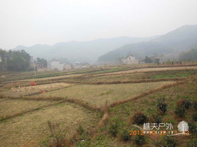 DSCN4953.jpg