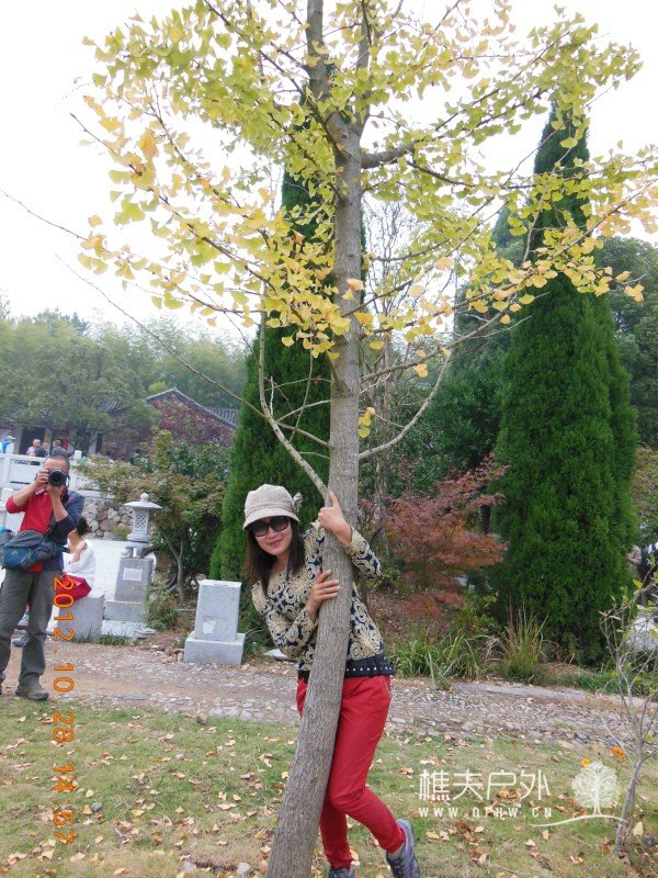 DSCN5095.jpg