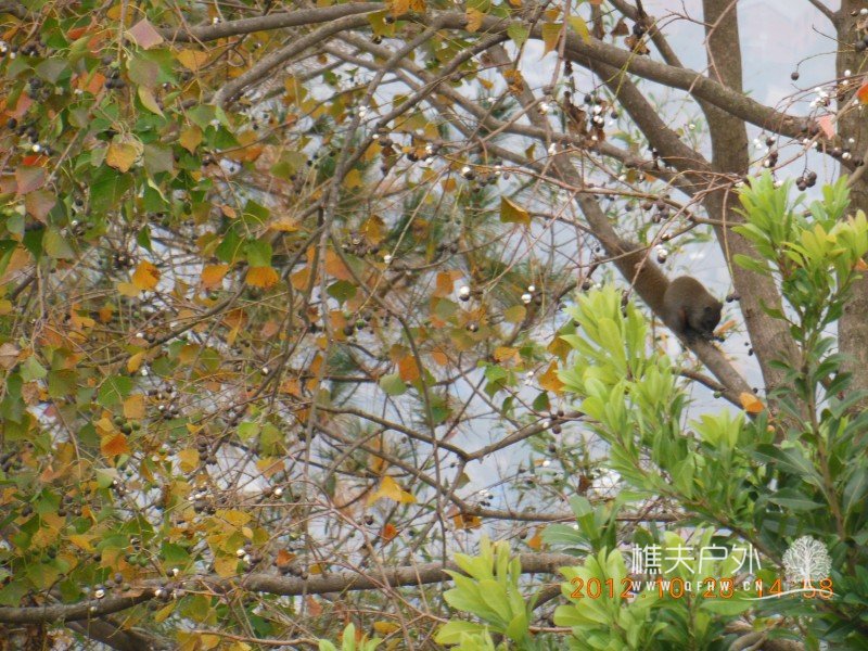 DSCN5098.jpg
