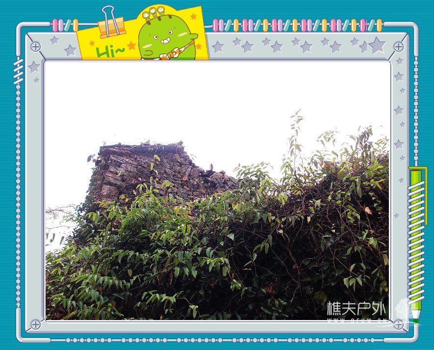 DSCF0746.jpg