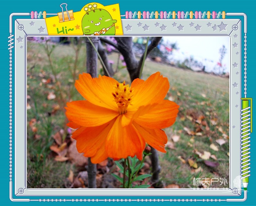 DSCF0905.jpg