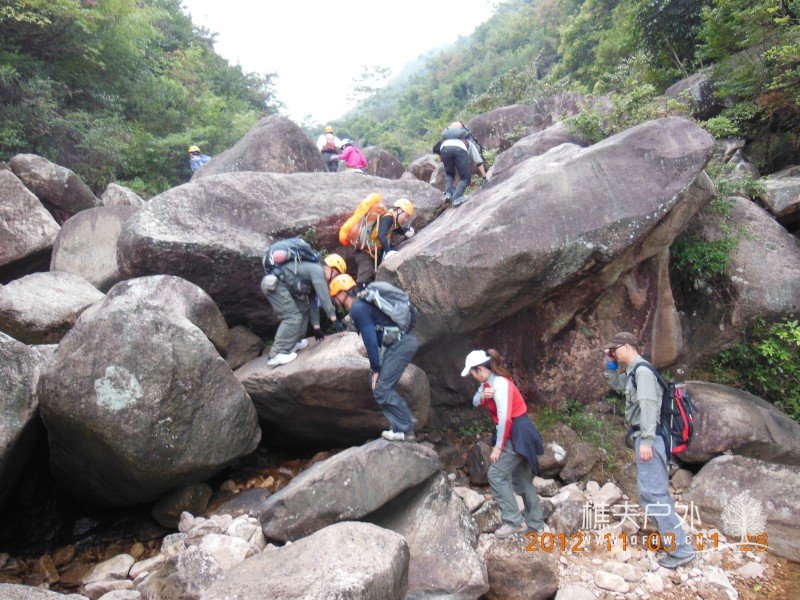 DSCN5174.jpg