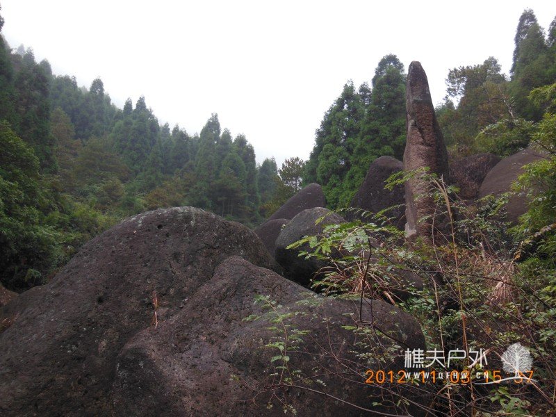 DSCN5246.jpg