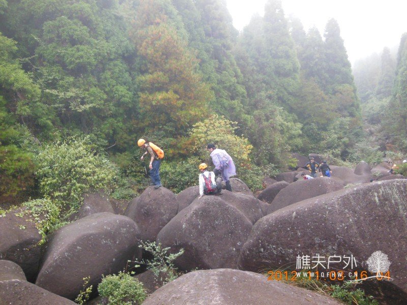 DSCN5256.jpg
