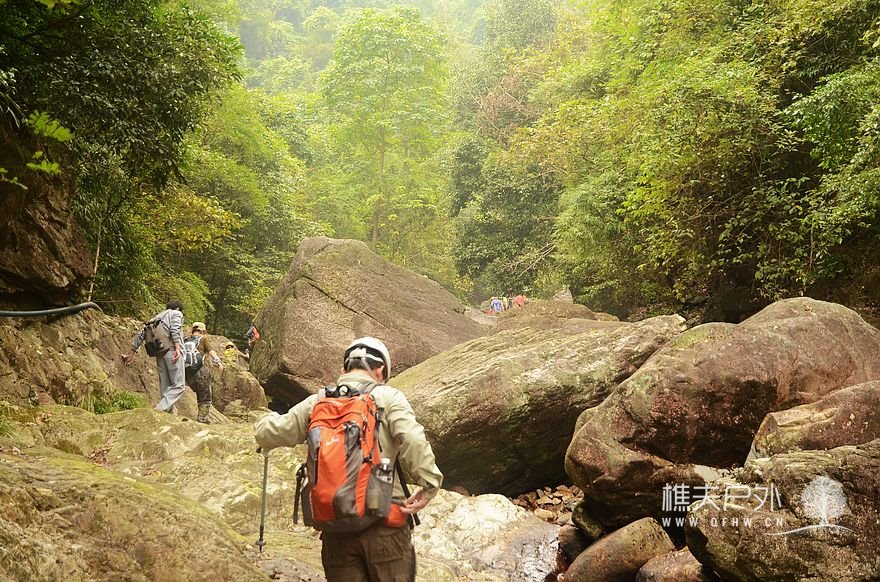 nEO_IMG_DSC_9568.jpg