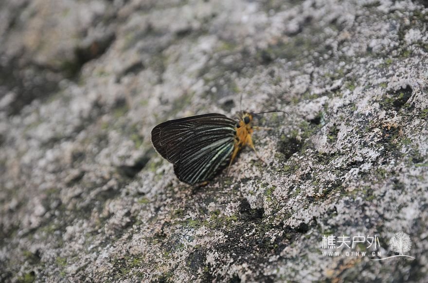 nEO_IMG_DSC_9583.jpg