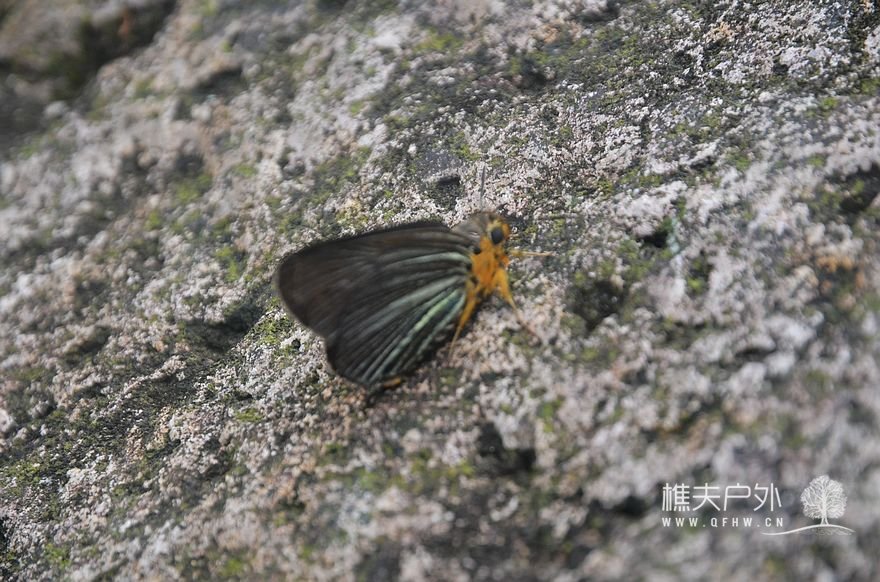 nEO_IMG_DSC_9584.jpg
