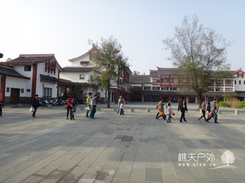 DSC08146.jpg