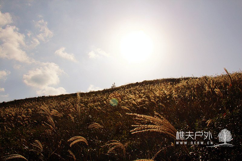 img_0439_副本.jpg