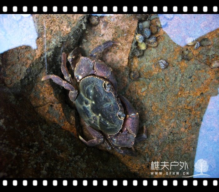 DSCF1078.jpg