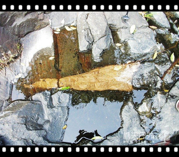 DSCF1087.jpg