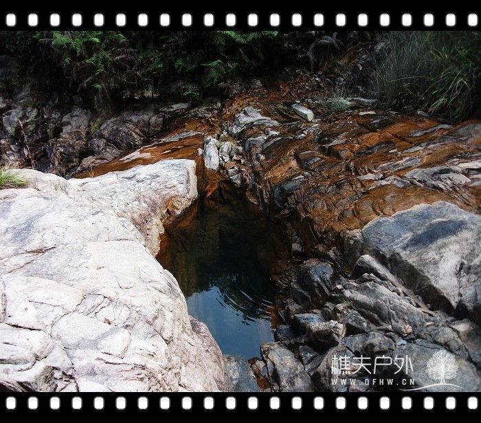 DSCF1113.jpg
