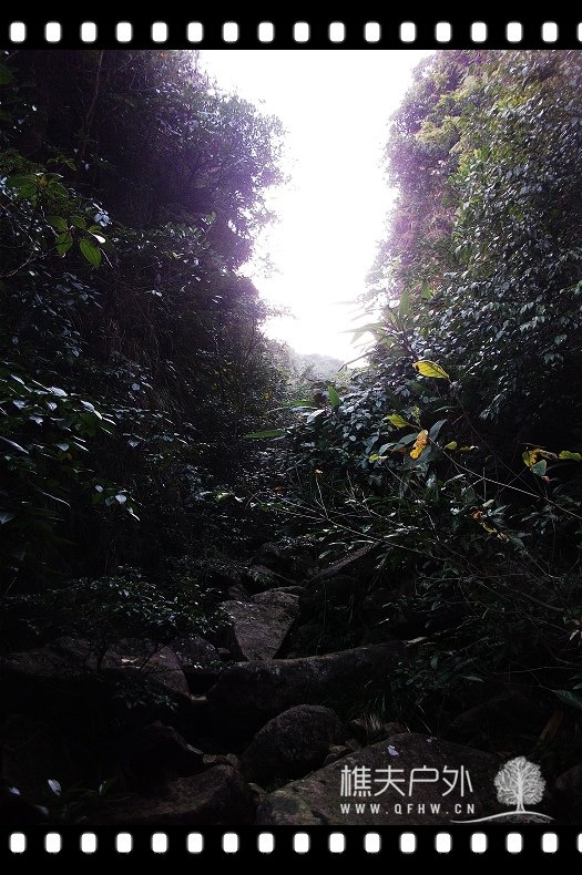 DSCF1189.jpg