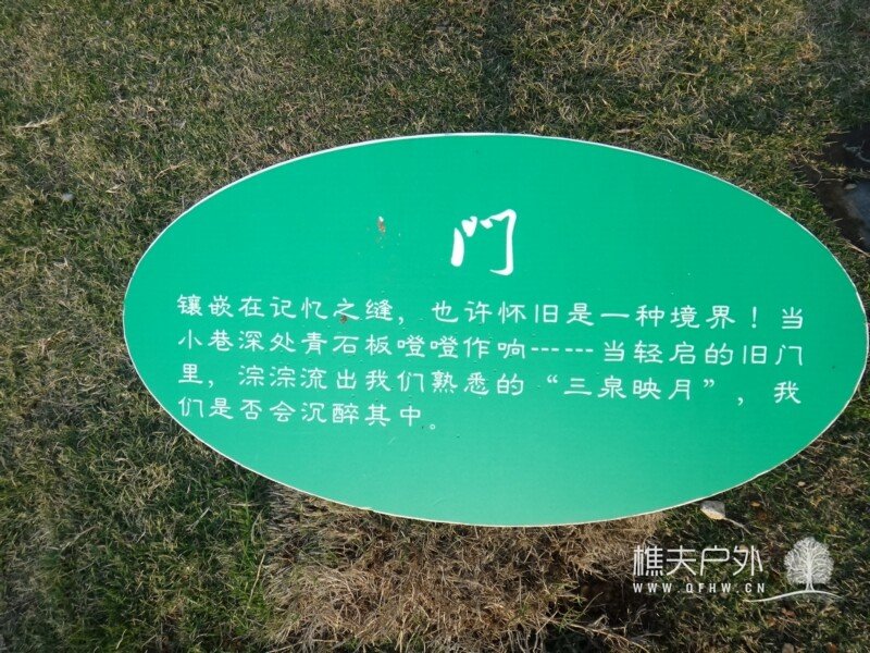 DSC08473.jpg