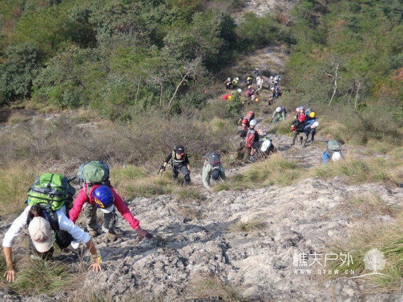 DSC08515.jpg