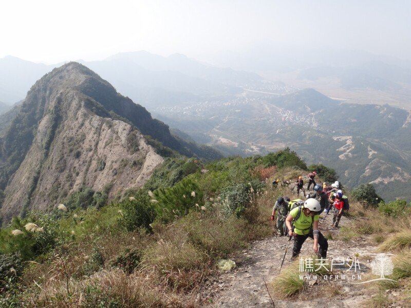 DSC08584.jpg