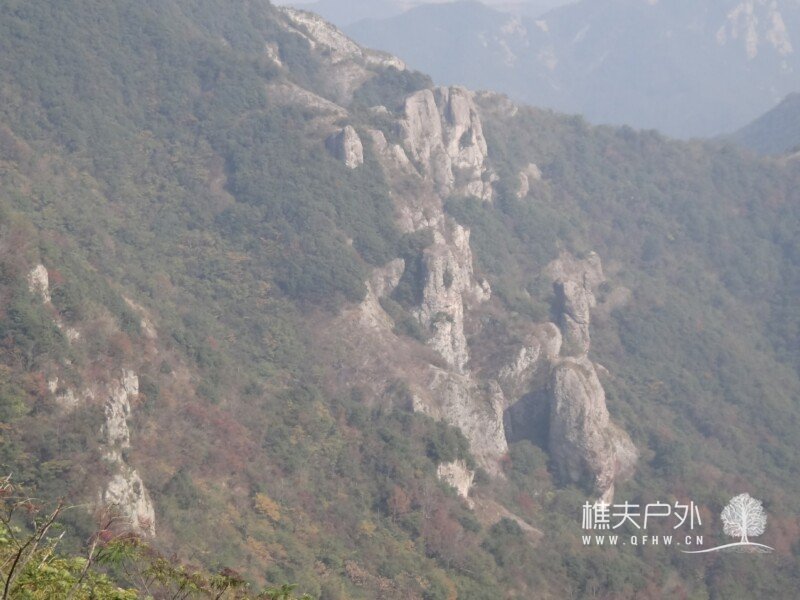 DSC08588.jpg
