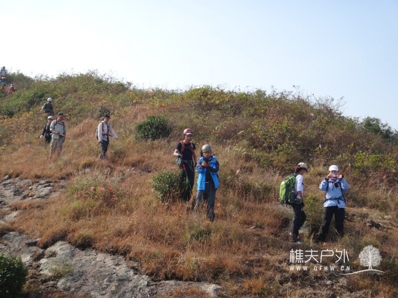 DSC08644.jpg
