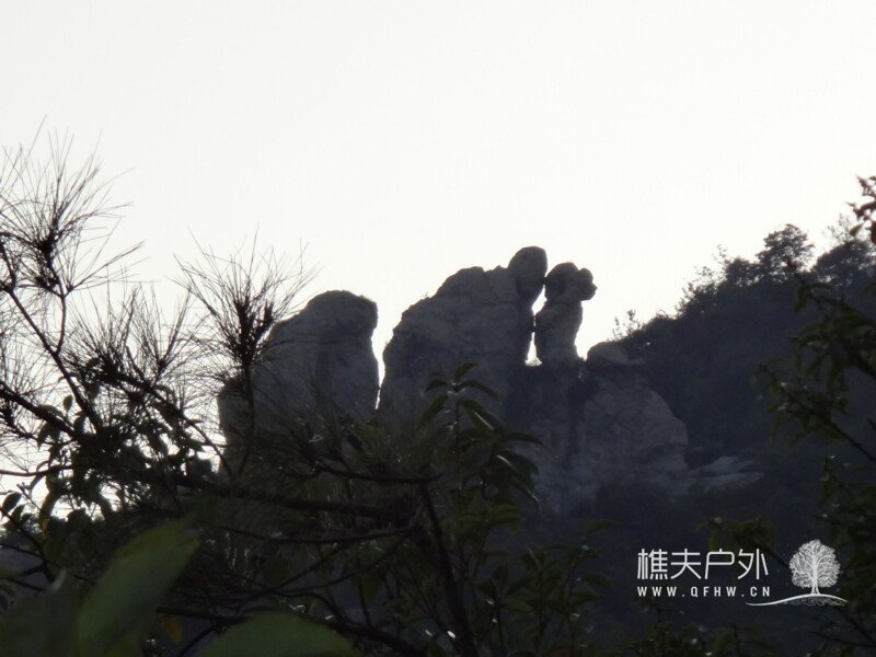 DSC08752.jpg