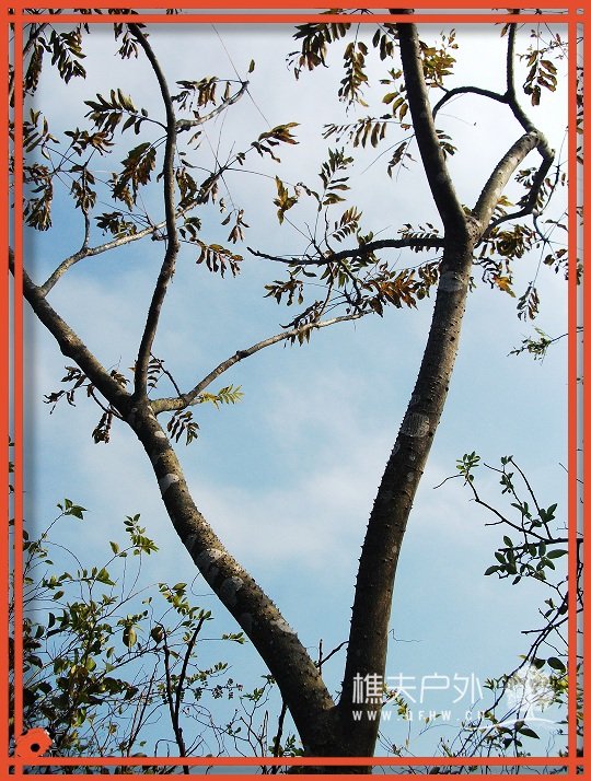 DSCF1428.jpg