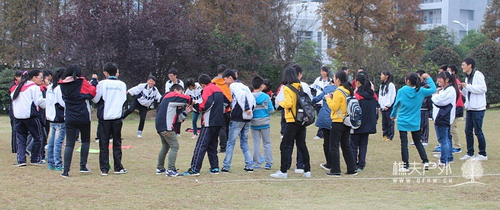 91.jpg