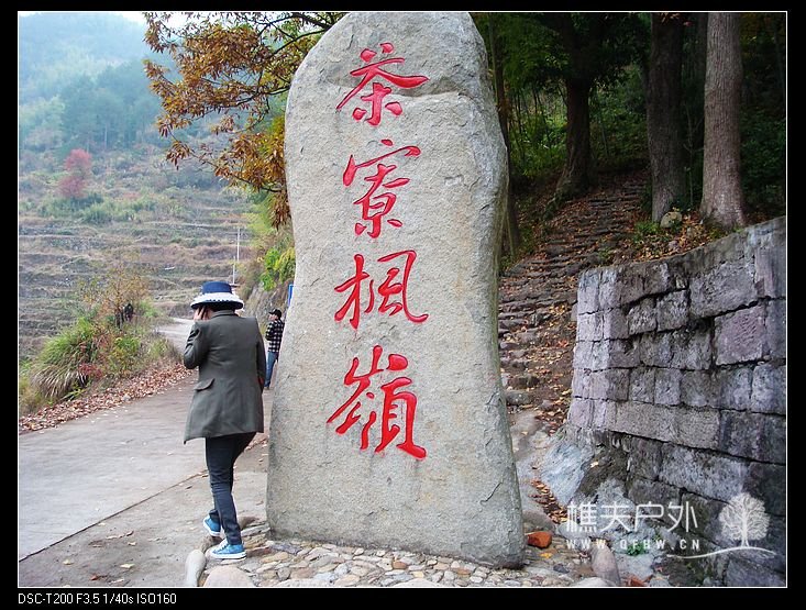 DSC07289.jpg