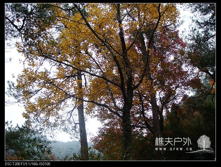 DSC07408.jpg