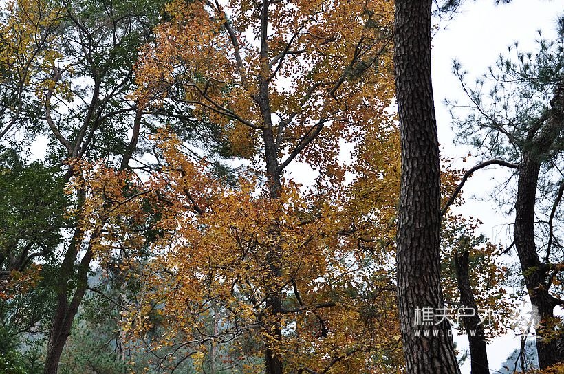 DSC_0105.jpg