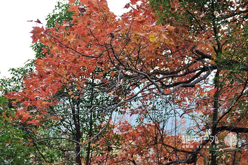 DSC_0192.jpg