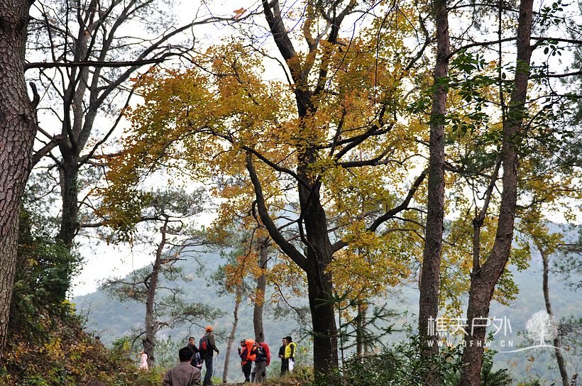 DSC_0174.jpg