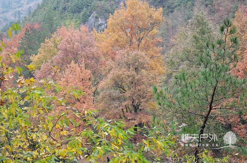 DSC_0160.jpg