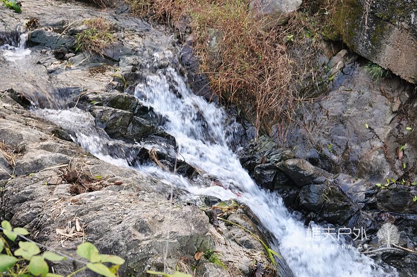 DSC_0254.jpg