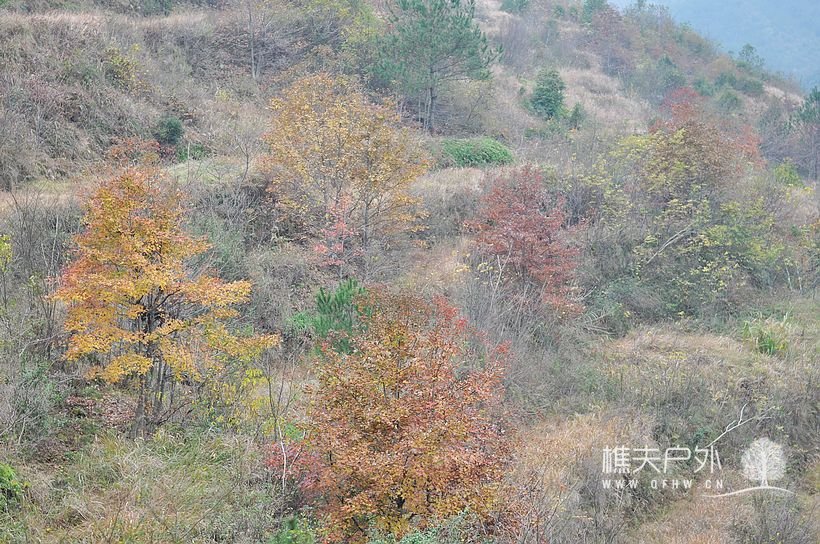 DSC_0196.jpg