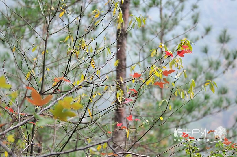 DSC_0172.jpg