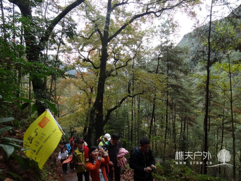 DSC08922.jpg