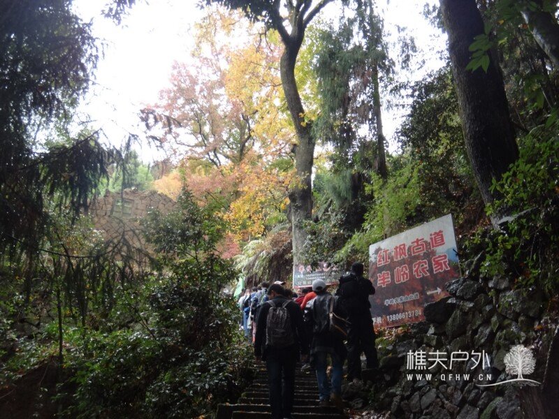 DSC08958.jpg