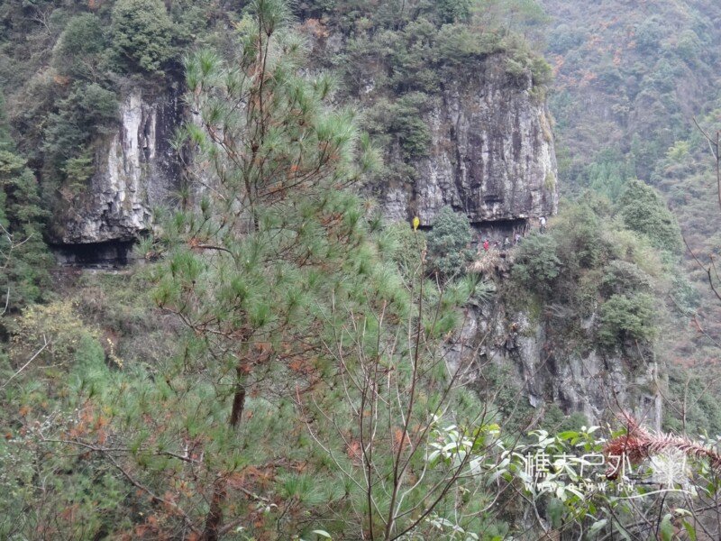 DSC09182.jpg