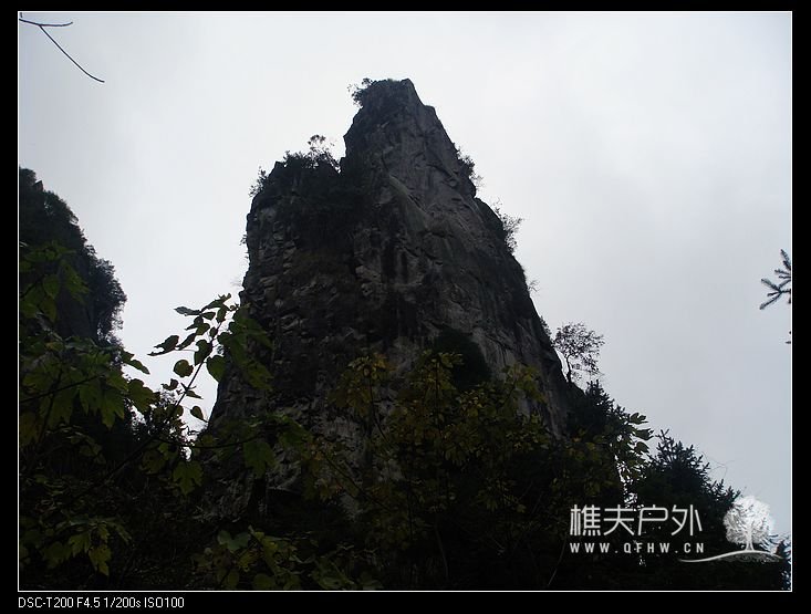 DSC07592.jpg